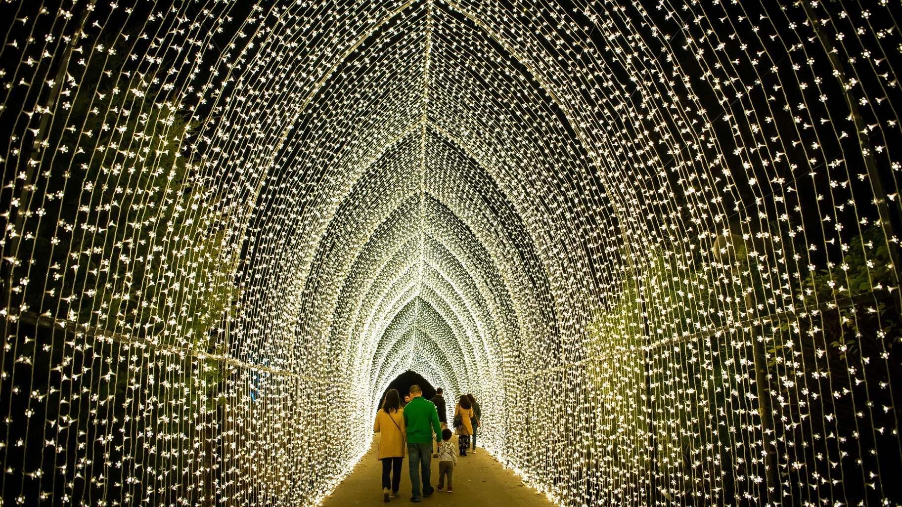 2024 Chicago Holiday Events Guide Chicago News WTTW